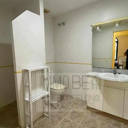 Bv-am 001-can Palome. *