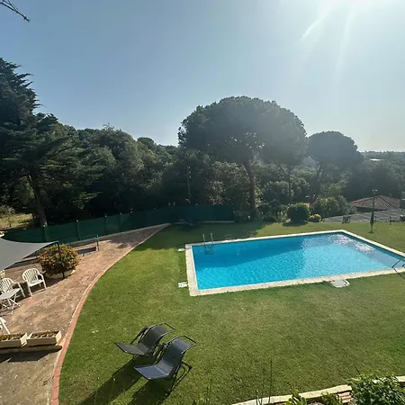Bv-am 001-can Palome. * Arenys de Munt