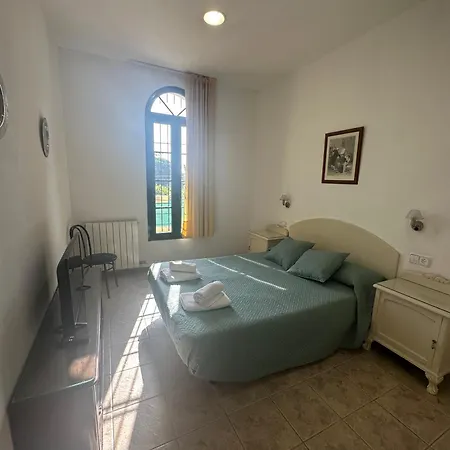 Bv-am 001-can Palome. *